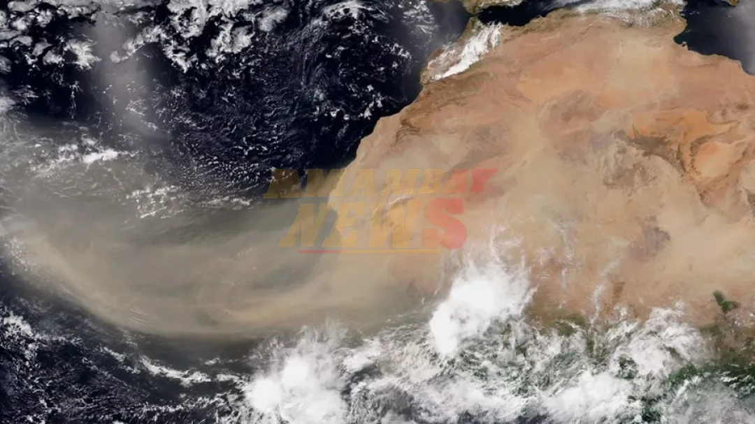 Tormentas de polvo del Sáhara afectaron la calidad del aire en Europa y el Caribe, asegura experto