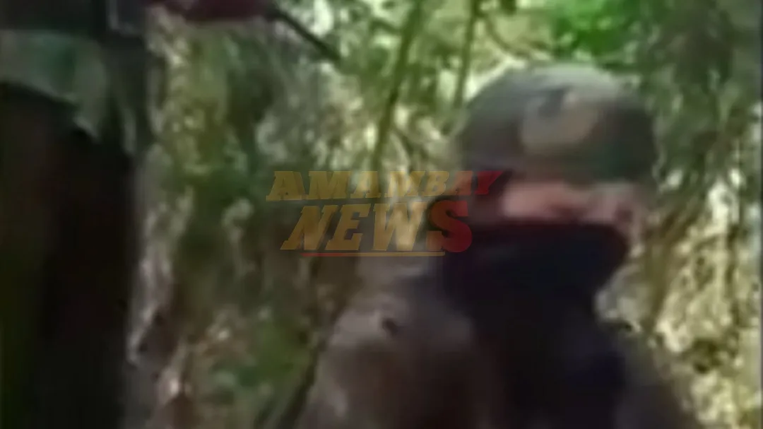 Revelan antiguo video extorsivo de la hija de Alejando Ramos tras hallazgo de caletas