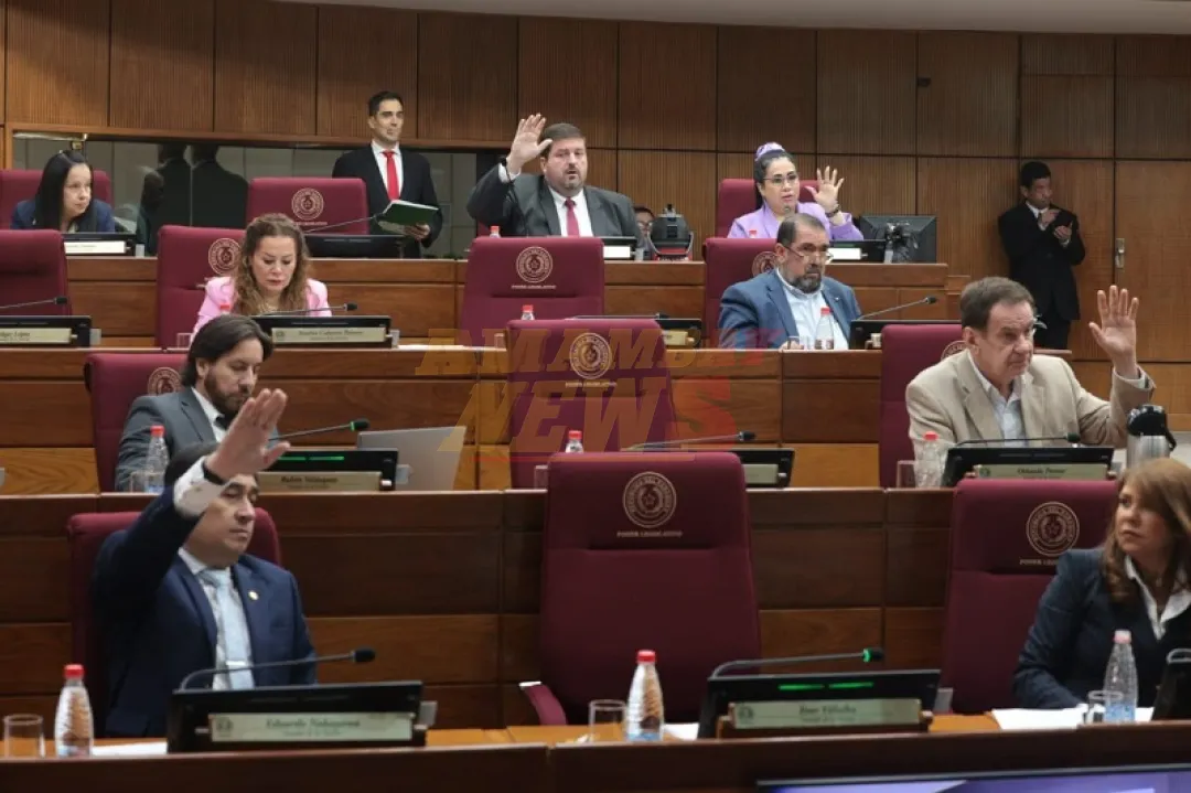 Senado rechaza proyecto que plantea criminalizar el «criadazgo»
