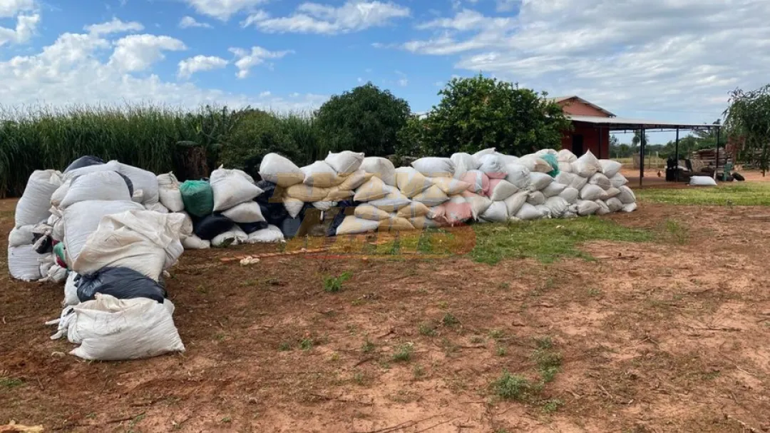 Incautan alrededor de 20 toneladas de marihuana en Capitán Bado