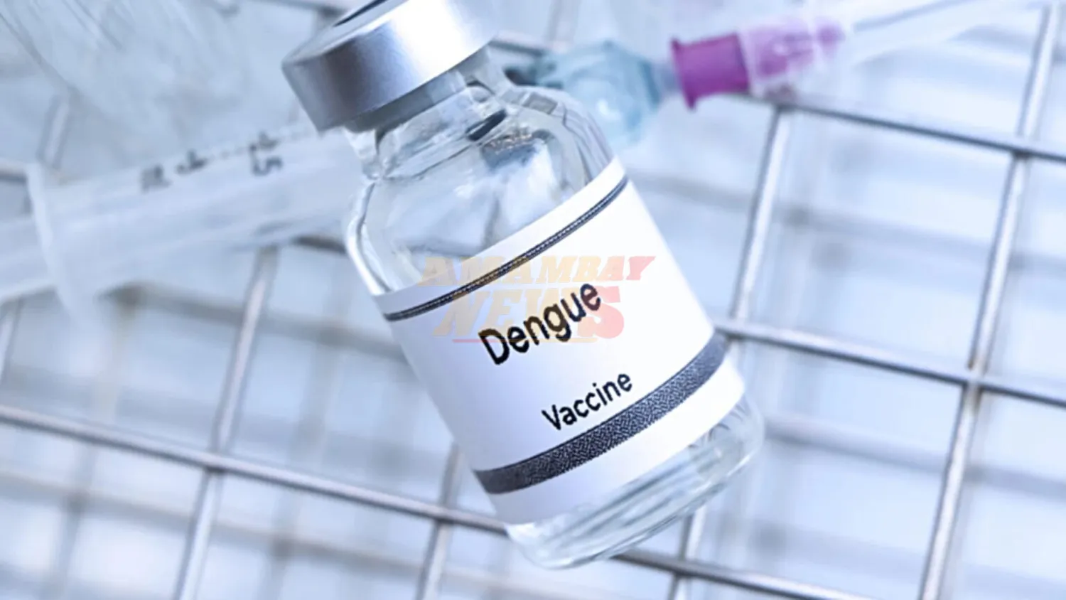 Brasil ya inmuniza contra el dengue con una vacuna propia