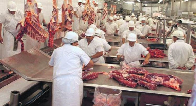Frigorífico Concepción reanudó sus operaciones