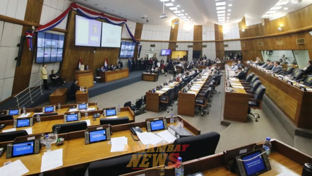 Abusivo: Aplanadora se prepara para sancionar polémica jubilación vip