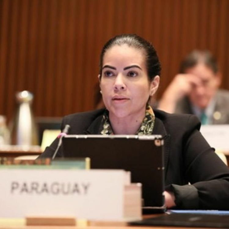 "Lo más lógico sería parar todo"
