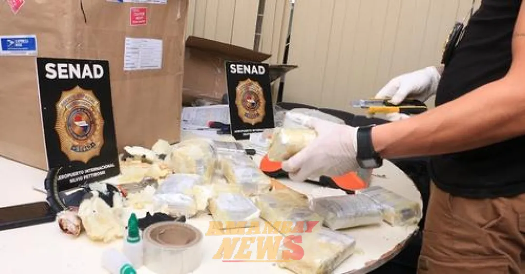 Detectan más de 25 kilos de marihuana “vip” procedente de Miami