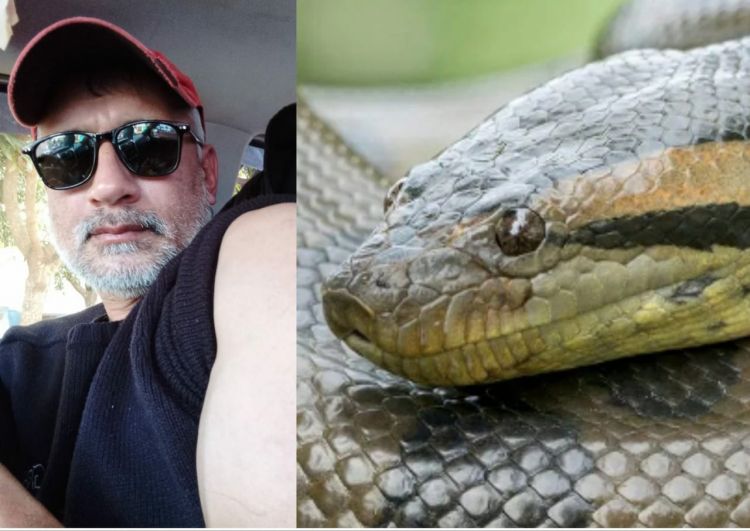 Comparan a alías Aragão con la serpiente anaconda