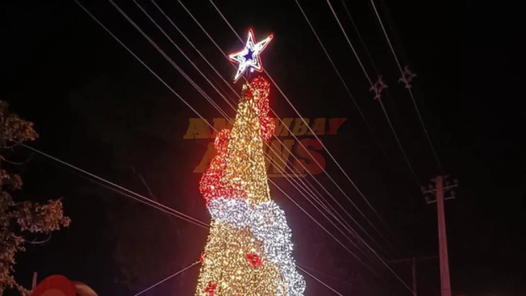 Asunción carece de decorados festivos en sus calles, pero rechaza la donación de un árbol navideño