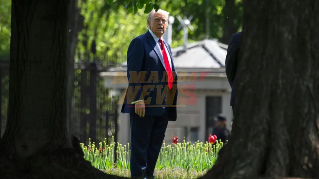 ¿Paz o capitulación? El plan de Trump para Ucrania enciende las alarmas