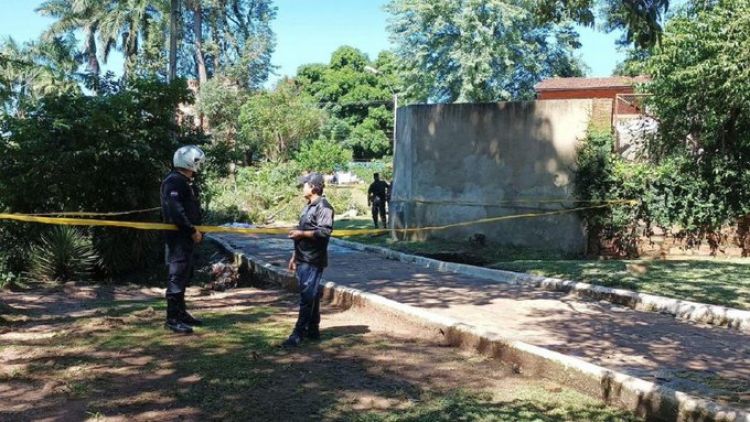 Niño muere aplastado por un árbol en el parque de Villarrica