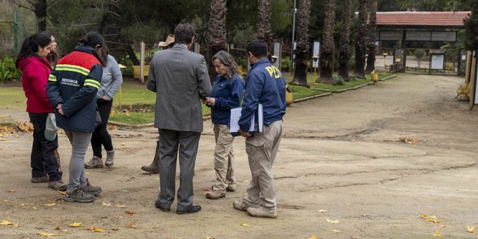 Ataque de perros “salvajes” deja 23 animales muertos en zoológico de Chile
