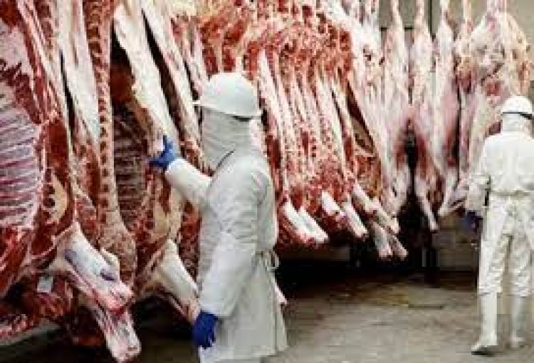 Brasil y Uruguay cubren su consumo local con carne paraguaya y aumentan envíos a China, afirman