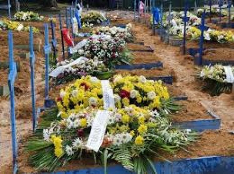 Covid: Brasil registra 181 muertes en 24 horas
