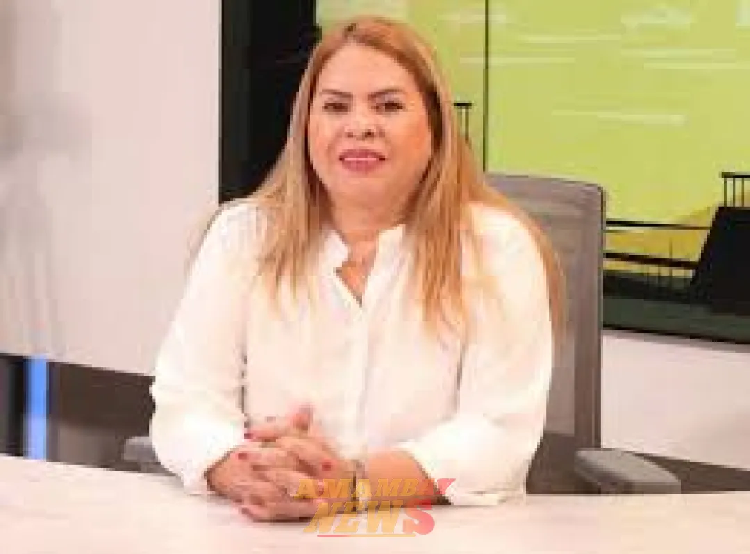 Tres sectores pugnarían por llegar al directorio del PLRA