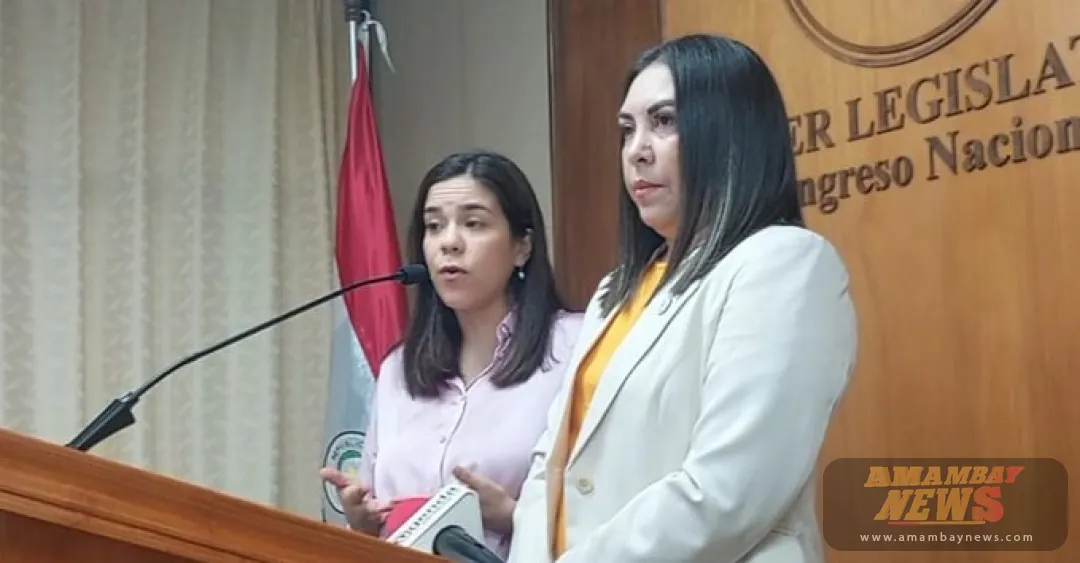 Plantean penalizar hasta 8 años casos de criadazgo en Paraguay
