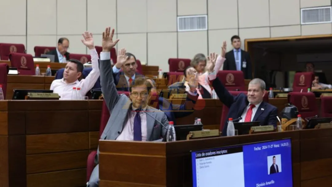 Senado acepta modificaciones de Diputados, pero se ratifica en dos artículos de ley que crea el RUN
