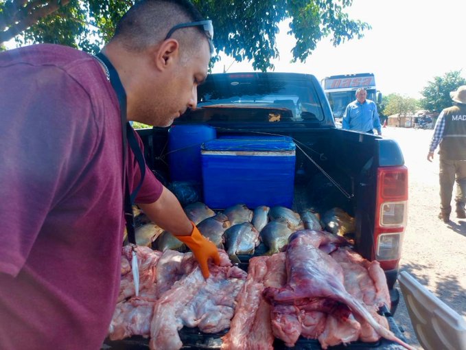 Mades incauta piezas de animales silvestre en Ñeembucú