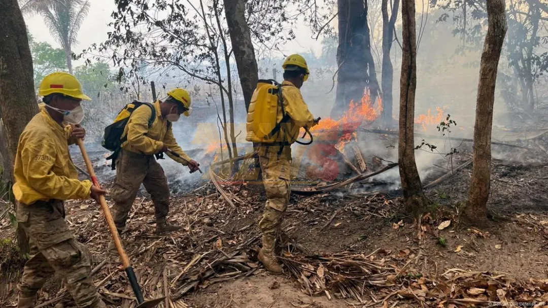 Incendios en Bolivia: el camino a recuperarse ¿y prevenir?