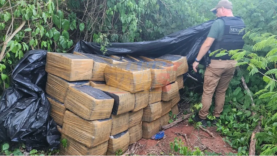 SENAD allanó depósito narco e incautó casi 2 toneladas de Marihuana en San Pedro