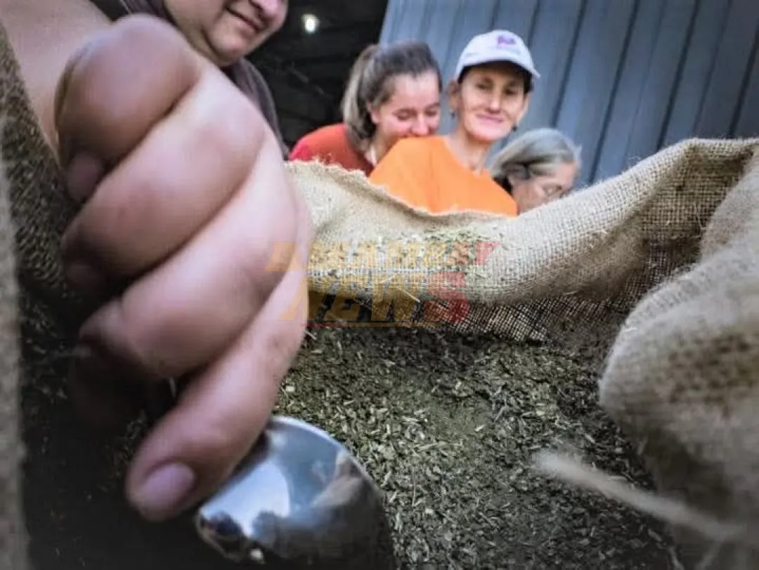 Yerba mate paraguaya llega a 27 mercados y pone el foco en Estados Unidos