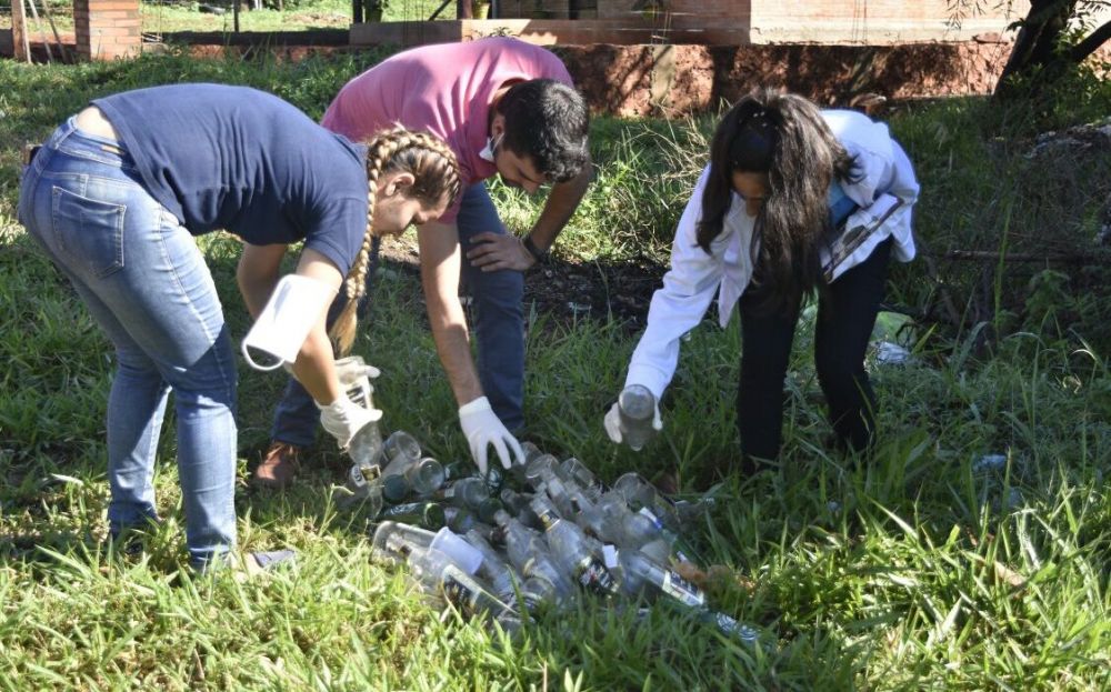 Dengue: Establecen que funcionarios públicos colaboren con tareas de limpieza