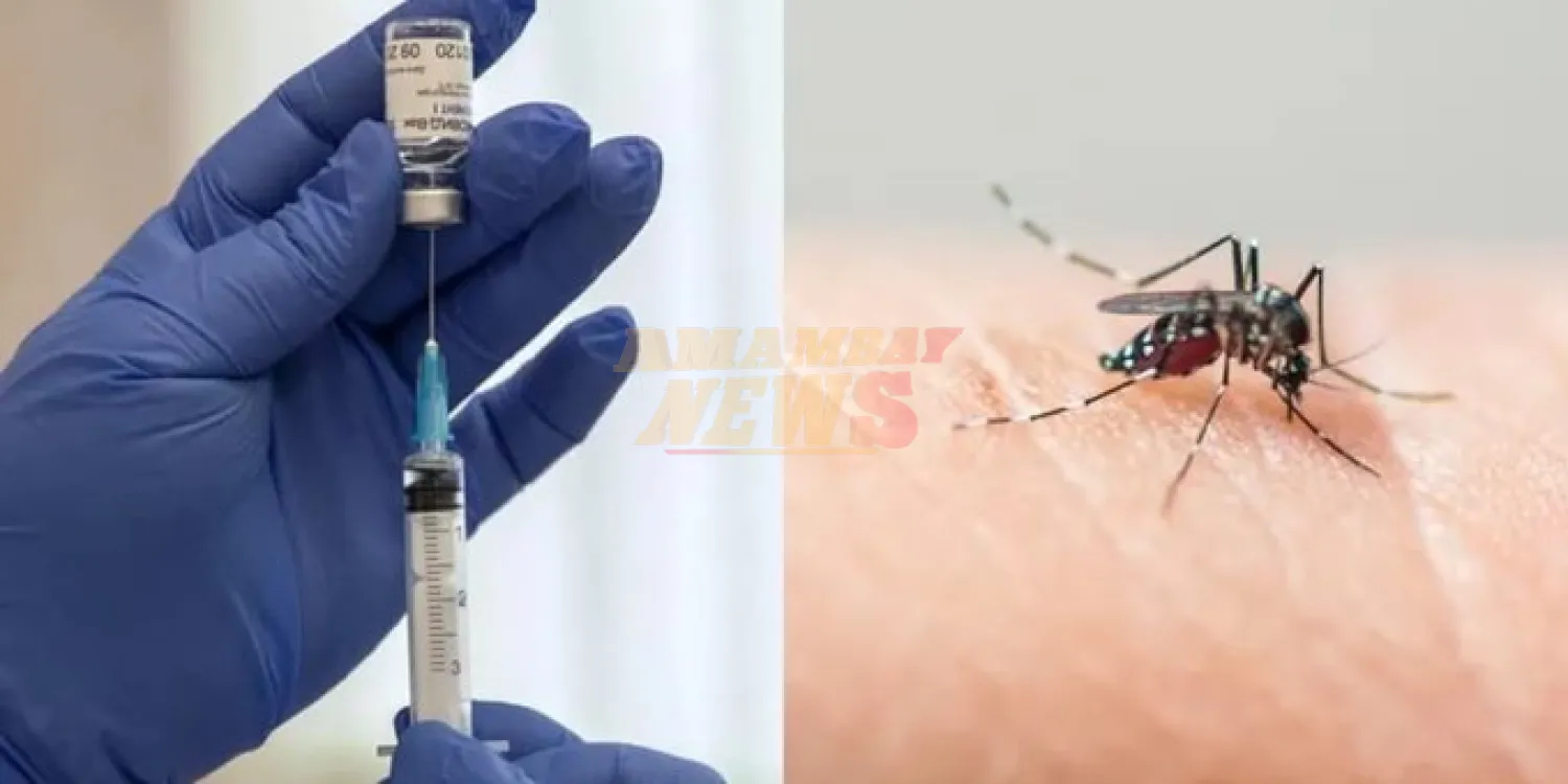 Paraguay aplicará vacunas contra el dengue desde noviembre