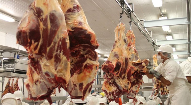 Carne bovina: exportación asciende a casi 300.000 toneladas en lo que va del año