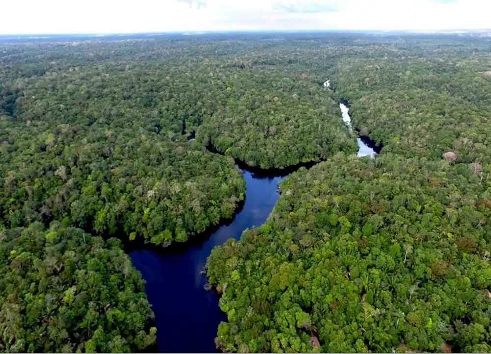 Medioambiente: La estrategia que podría revolucionar Paraguay