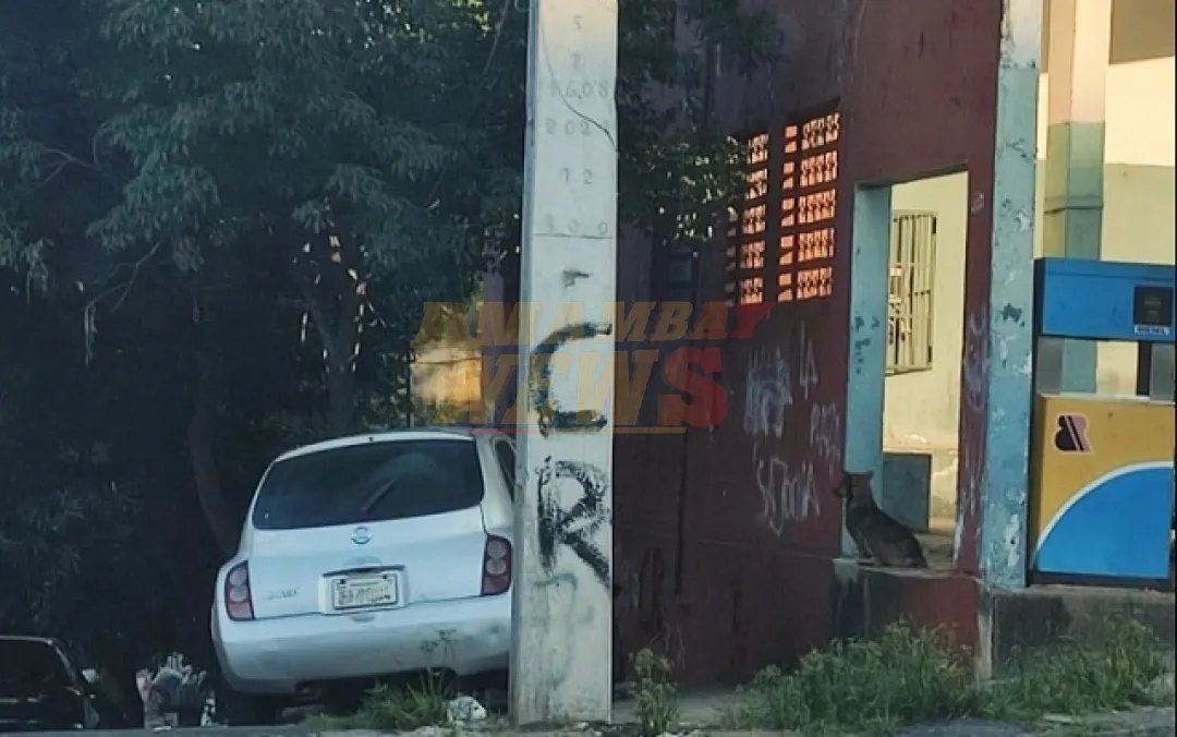 Operativo Cessatio Regia desmantela base logística del Clan Rotela