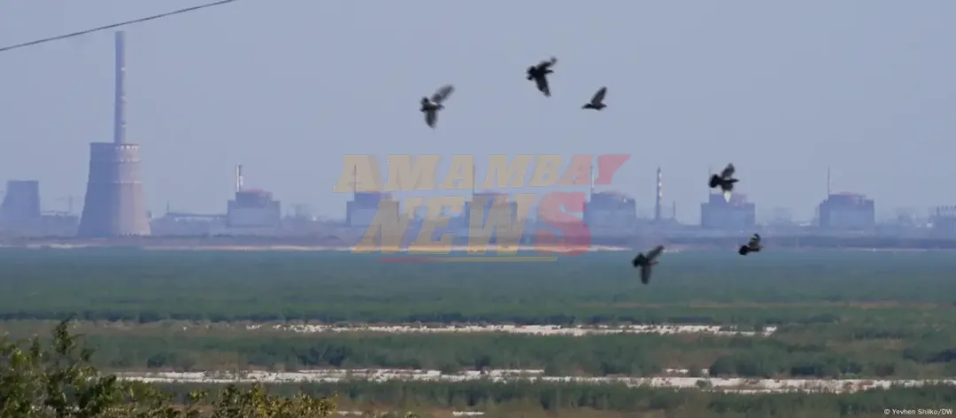 El Ejército ruso toma dos localidades y entra en Zaporiyia