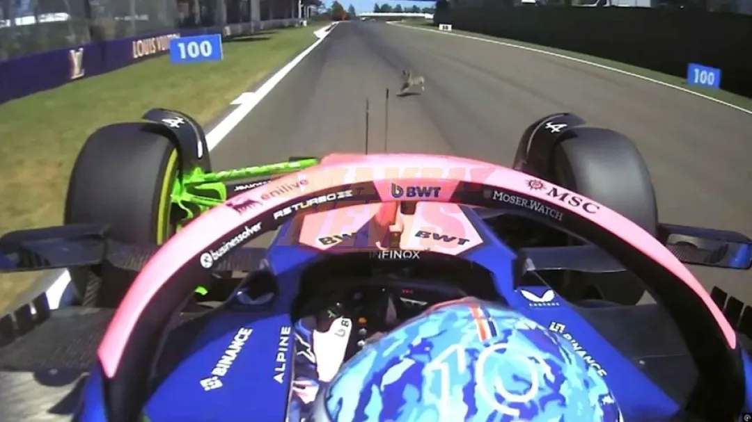Pierre Gasly, piloto de Alpine, arrolla a un conejo en la pista del GP de Emilia Romagna