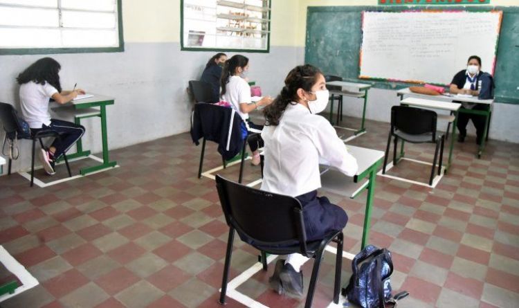 Cuatro mil docentes aún no se vacunaron contra el Covid, según viceministra