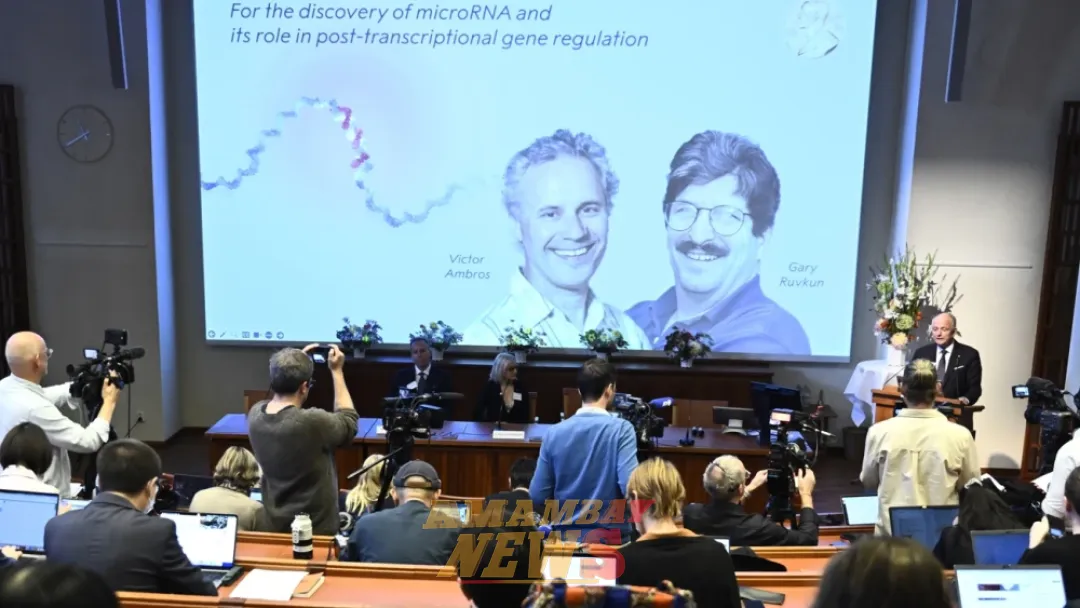 Nobel de Medicina para Ambros y Ruvkun por el microARN y su papel en regulación génica