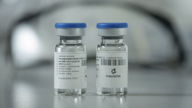 El suero equino hiperinmune anti-SARS-CoV-2 también es neutralizante contra nuevas cepas