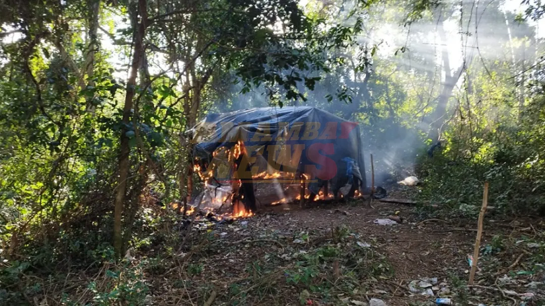 Desmantelan estructuras de narcos en la reserva Mbaracayú