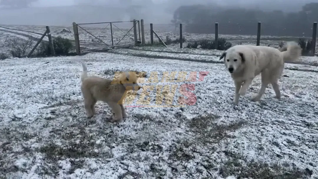 Nieve histórica cubre el sur de Brasil