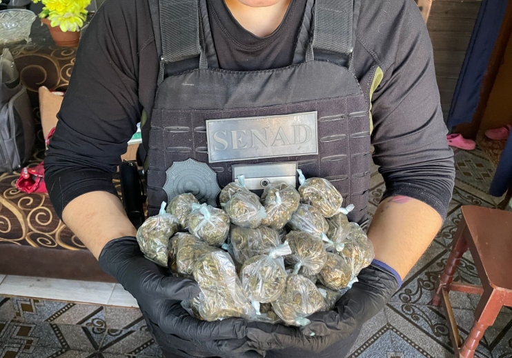 Senad detiene a ocho personas en operativo contra distribución de drogas