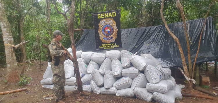 Senad elimina tres toneladas de marihuana en la reserva Morombí