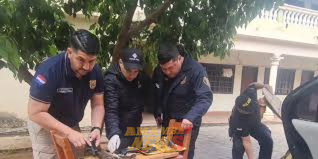 Imputan a una mujer implicada en arsenal y usura en San Lorenzo