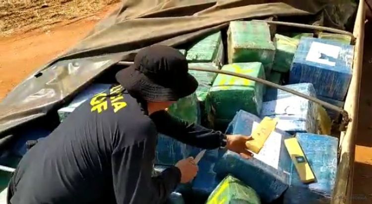Brasil: DOF incauta más de 33 mil kilos de marihuana a menos de 100 km de Pedro Juan Caballero