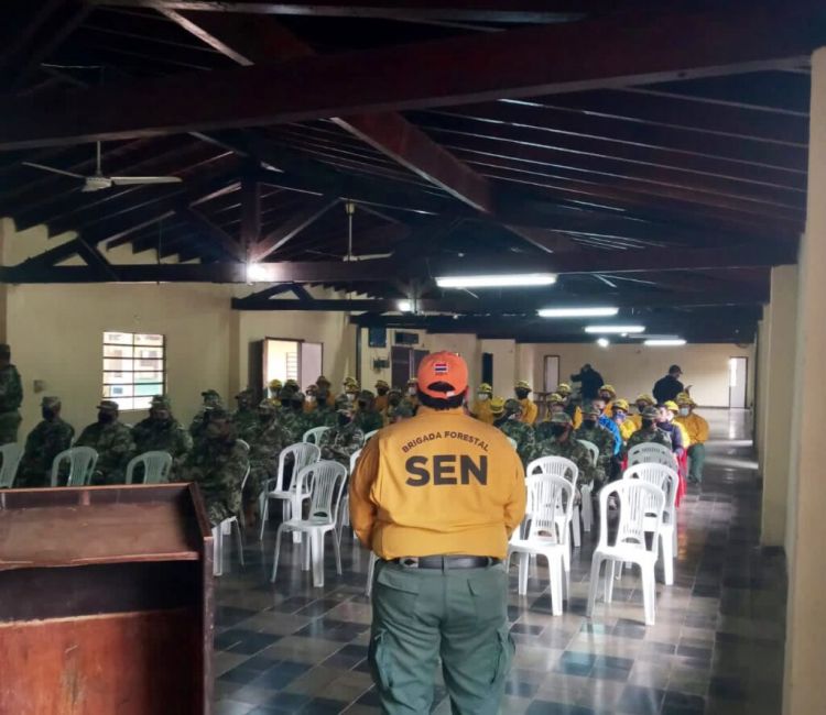 SEN realiza capacitación para combatir incendios forestales en Concepción