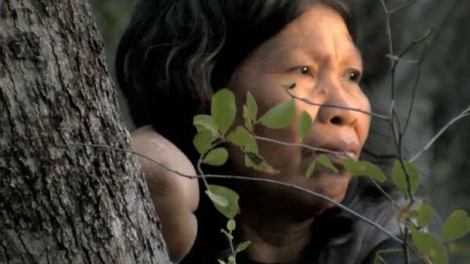 ARP niega denuncia de posible genocidio de grupos ayoreos por parte de empresa inglesa en el Chaco