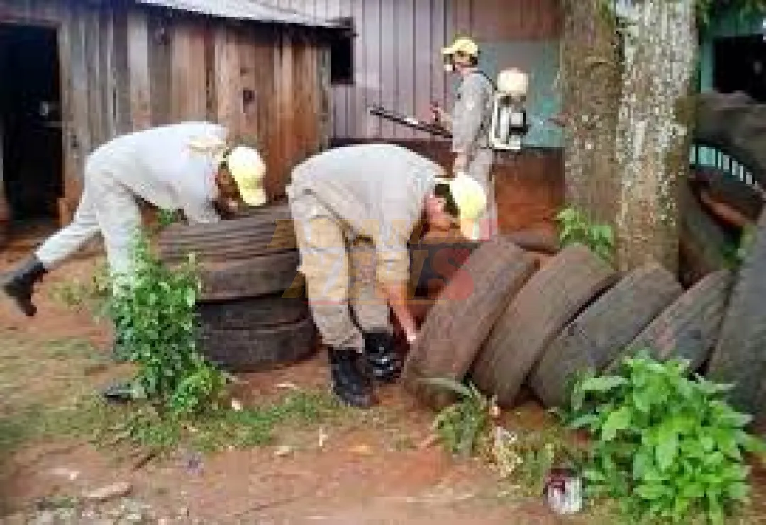 Sin brotes de dengue en el país, pero con vigilancia activa