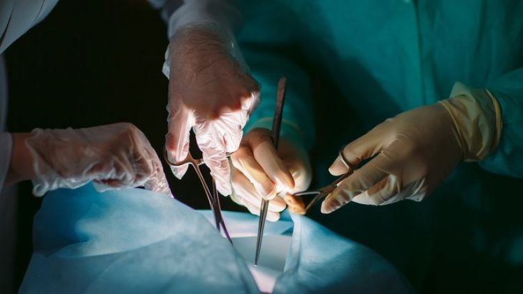 Descubren casos de trasplantes ilegales de órganos en uno de los mayores hospitales de Bulgaria