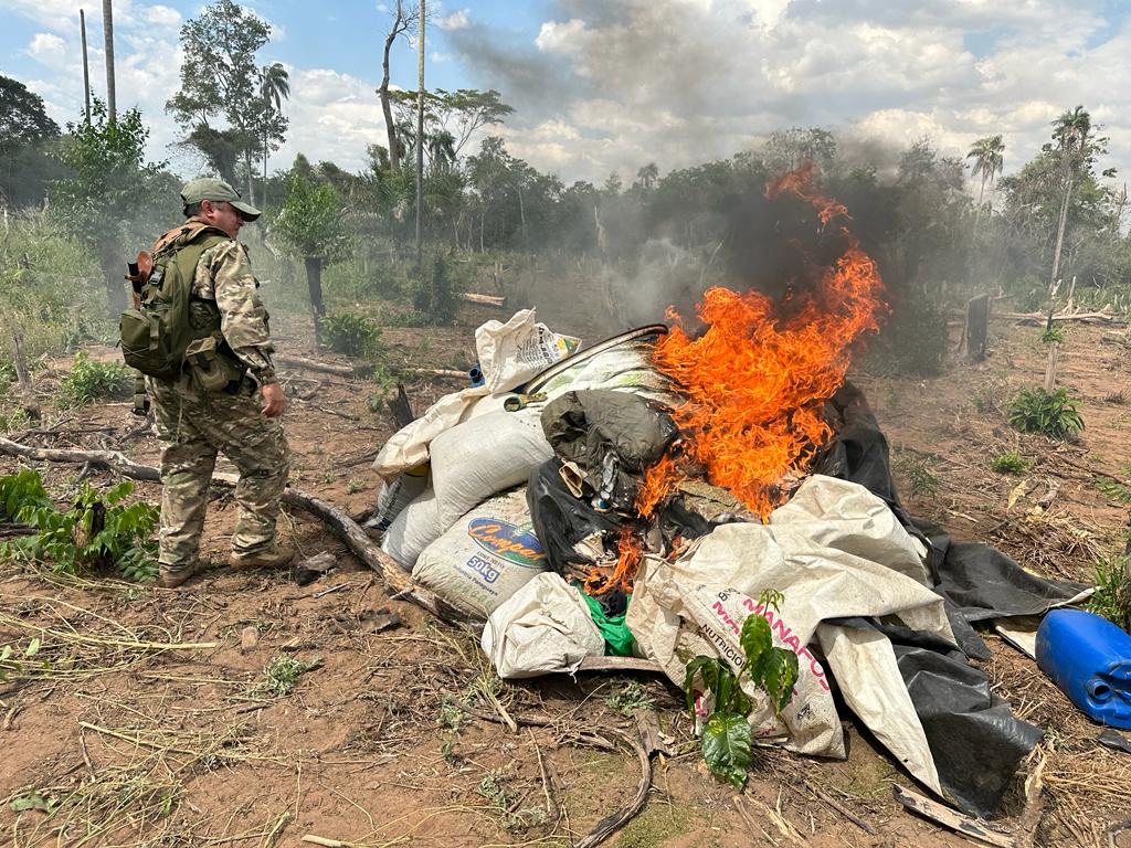 Destruyen más de 25 toneladas de marihuana en Yby Yaú