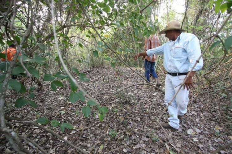 Indígenas ingresaron al monte en busca de los secuestrados y el EPP