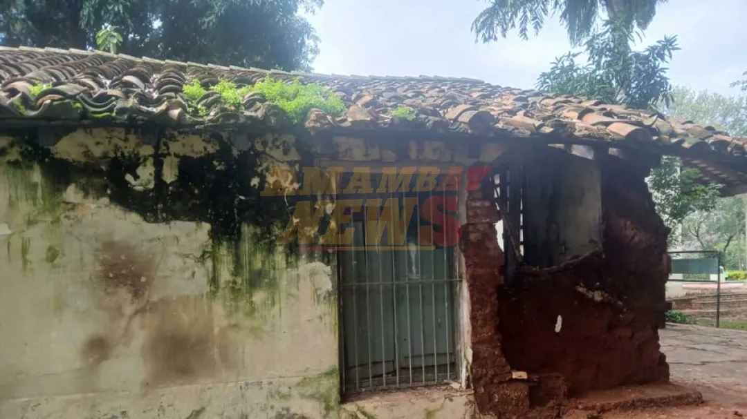 Centenario Herbario del Botánico lidia con desidia y se derrumba