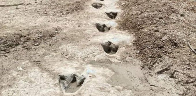 Sequía en EEUU deja al descubierto huellas de dinosaurios