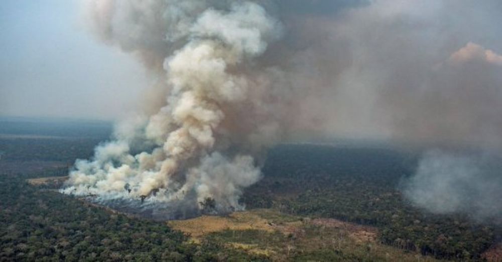 El G7 moviliza USD 20 millones para combatir el fuego en la Amazonía