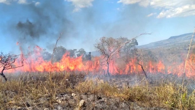 Bomberos reportan más de 100 fuegos activos y piden donación de bebidas para combatientes