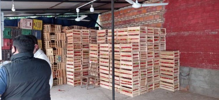 Incautan 8 toneladas de tomate de contrabando en Ñemby
